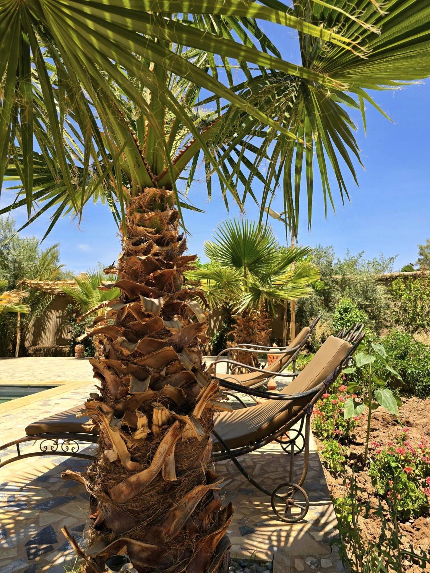 Riad Aman スコーラ エクステリア 写真